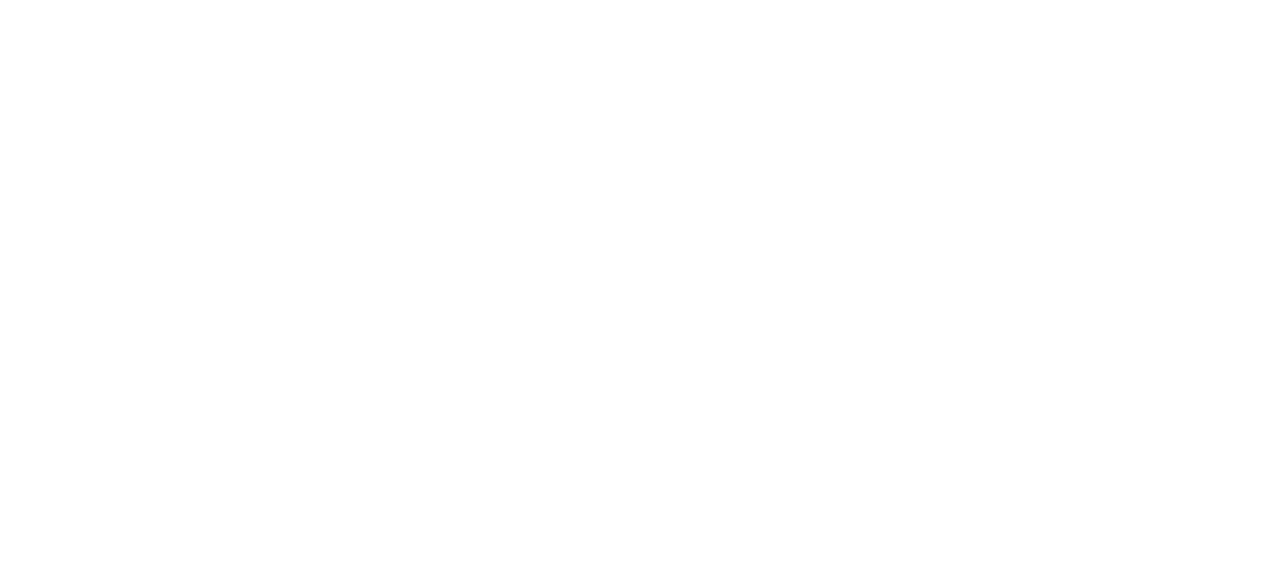  We are black and border guards hate us  Their computers hate us too  