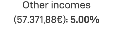Other incomes (57 371,88 ): 5 00%