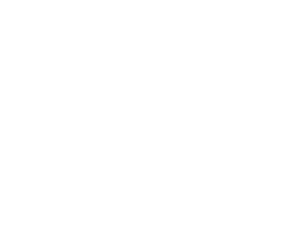 In 2020, the Commission published its suggestions, the DSA and DMA, on how BigTech s reign can be ended, while protec   