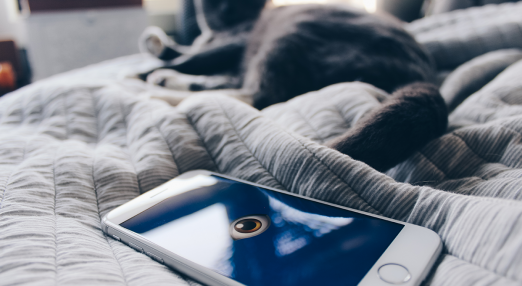 A cat lying on a bed next to a phone displaying a spying eye.