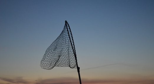 An image of a net.